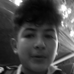 Lorenzo Pucciariello