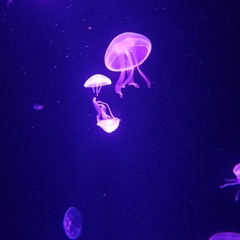 phntom