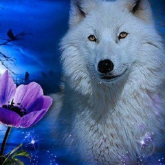 FrostyWolf