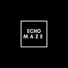 Echo Maze