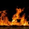 FireLight