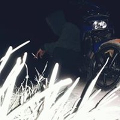 adul