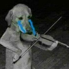 beatfinderaccount