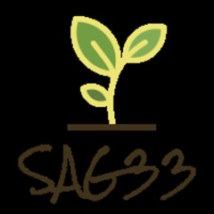 SAG33