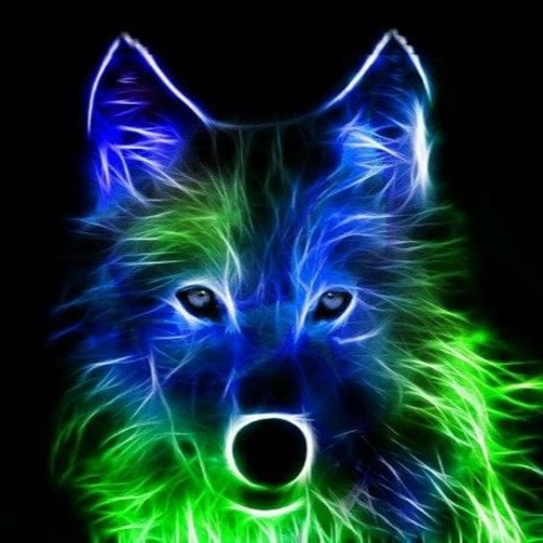 lunar wolf 803’s avatar