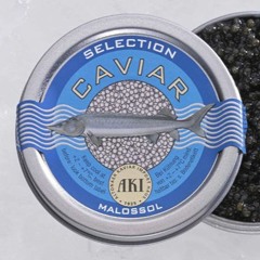 Techno Caviar Tracks