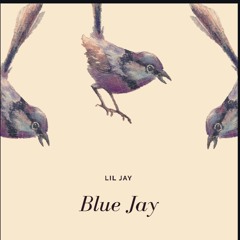 Blue jayy