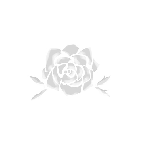 Terra Blume 2’s avatar