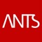 ANTS RECORDS