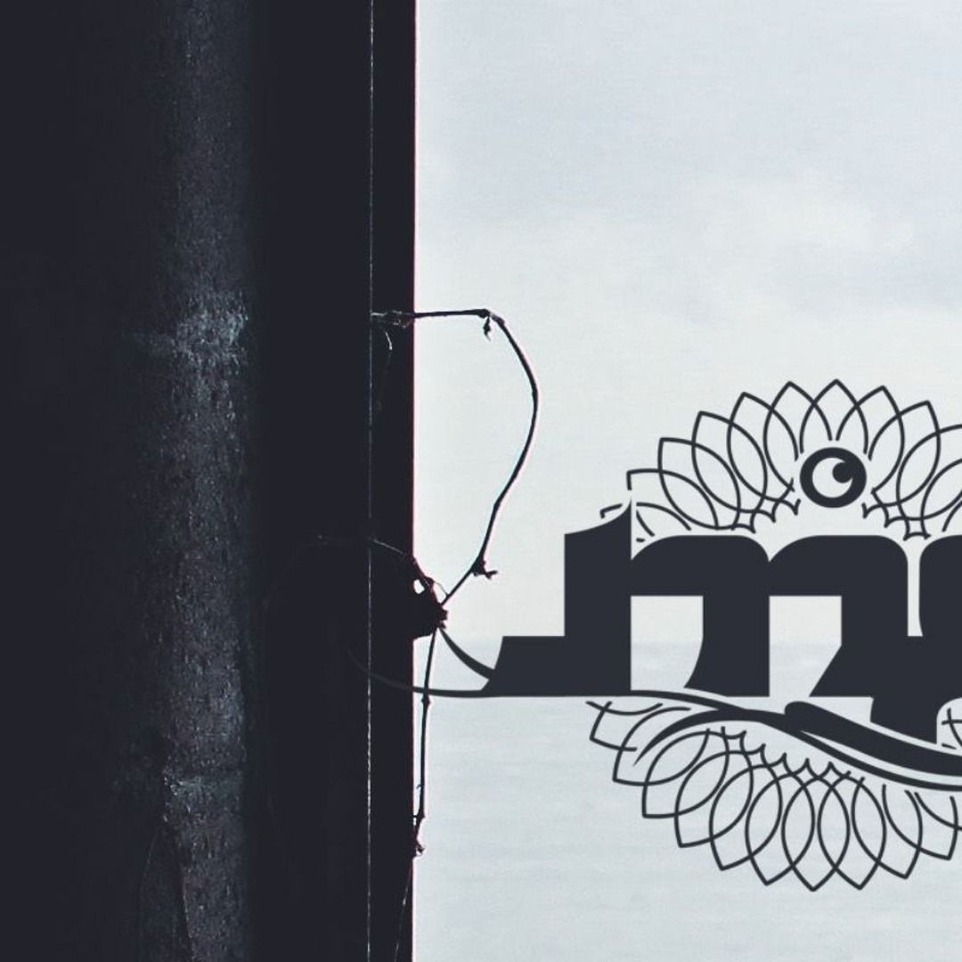 Moon Frog’s avatar