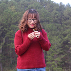 nhuquynh viho