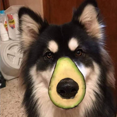 JJuanMC ʕ•ᴥ•ʔ【SquadMG】