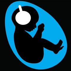 Born Music - Music & Sound Design