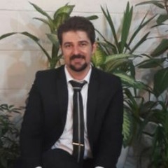 Sajad Mirabdaly