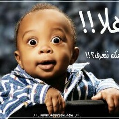 محمد عادل النمر