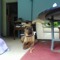Baby Girl =P