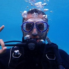 Wisam Elhamoui