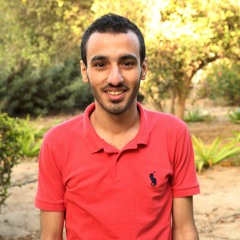 Sameh Gerges