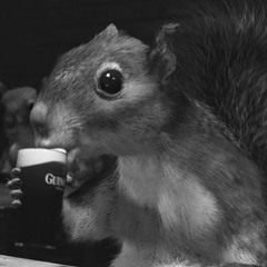 Naoise David Sheridan