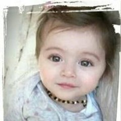 noha