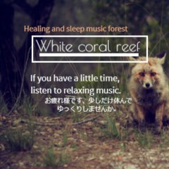 white coral reef