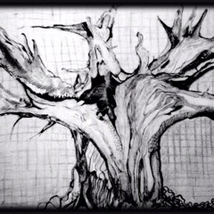 Kerry-Fleur Schleifer