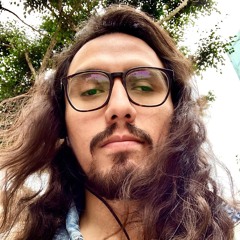 Luis Miguel Caceres Ceron