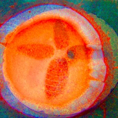 Tematrilia