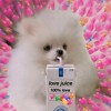 elmoof420