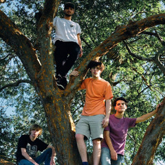 The Chamberlain Is Out