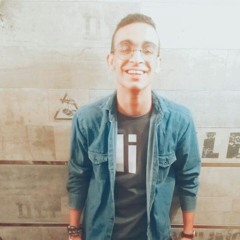 Ahmed M. Abdelmawgod