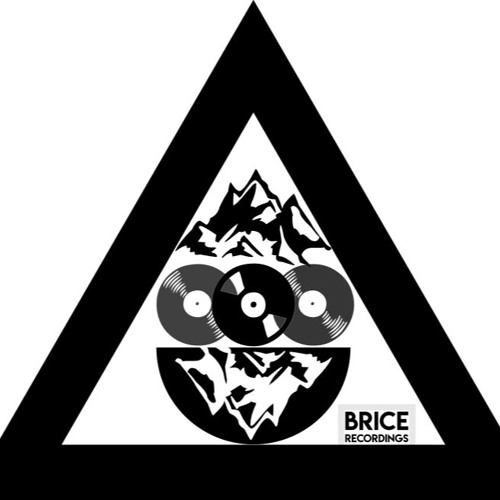 BRICE RECORDINGS’s avatar