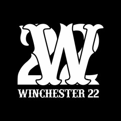 Winchester 22