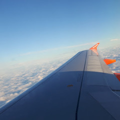 Vida Tweneboah-Boahene