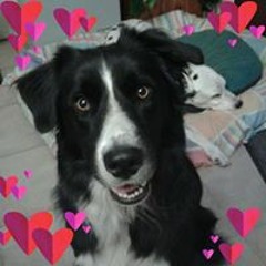 Patty