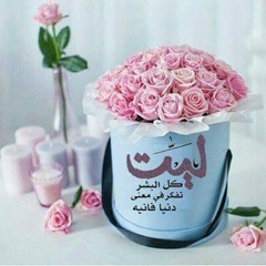 سكينة