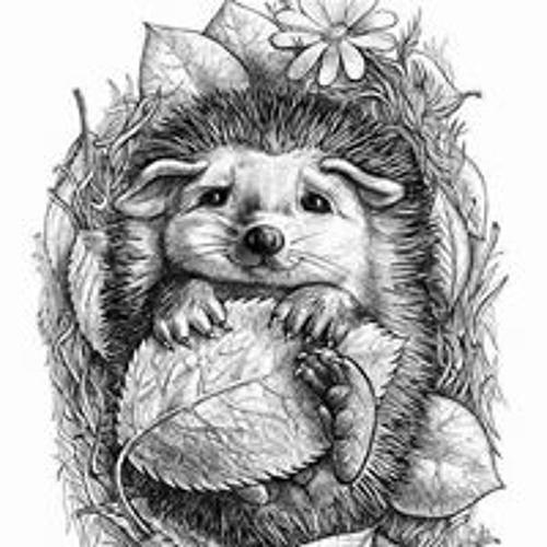 Я Просто Хочу Приехать