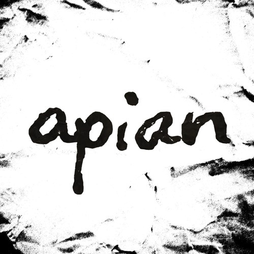APIAN’s avatar