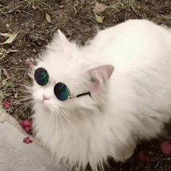 julia<3