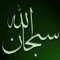 Mohamed Abdel Fattah