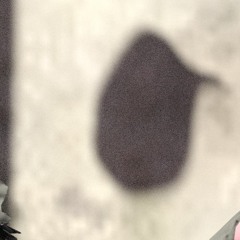 2094
