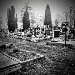 ourmutualselfdestruction