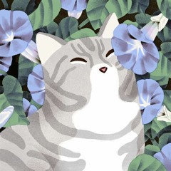 Catfliz~