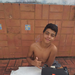 Vinicius T4marana