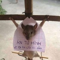 Thằng Khờ