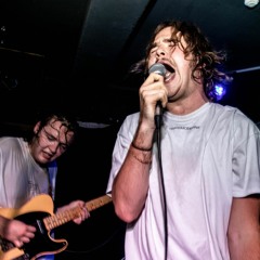 The Vandalis
