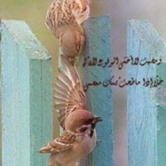 إخاء وشهادة