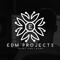 EDM Projects 2