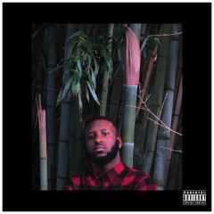 Shahiree_Wit_The_Barzz