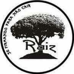 Camisas Raiz